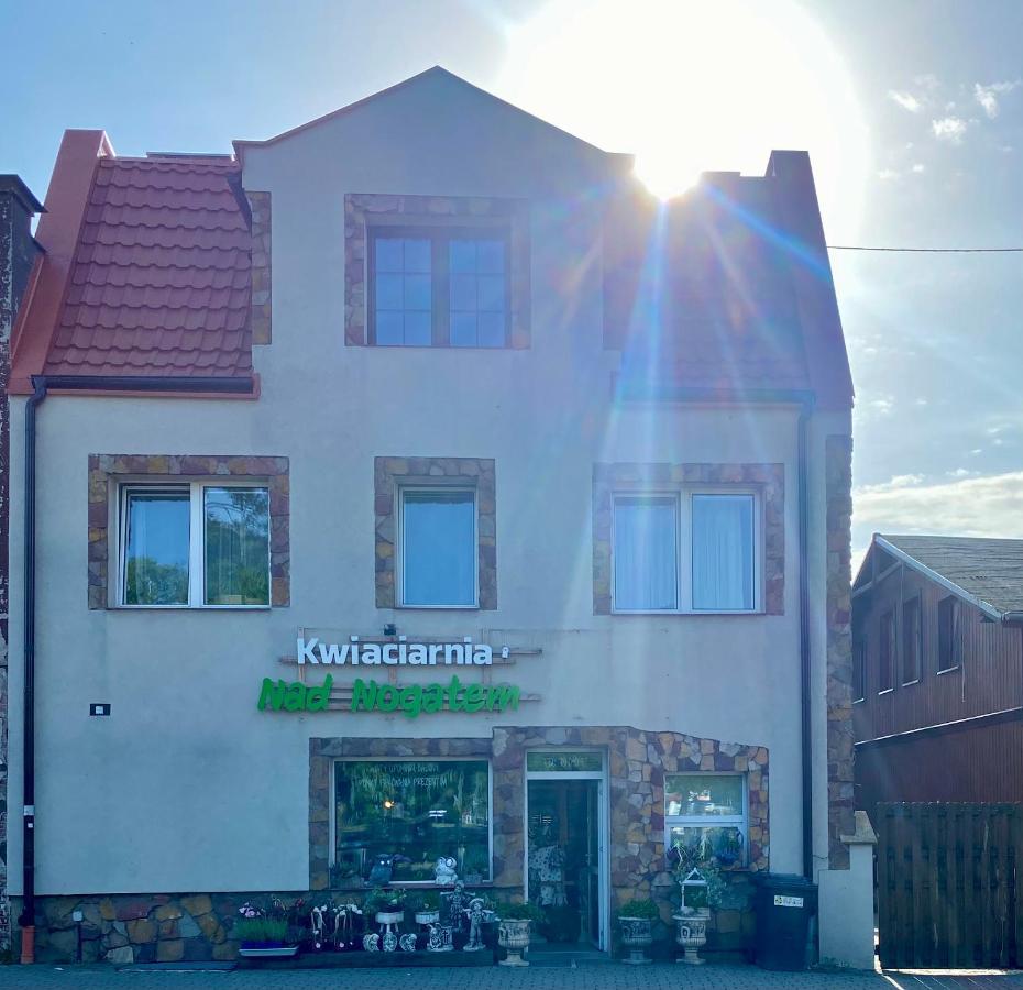 Glowna Apartamenty Nad Nogatem Malbork Exterior photo